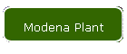 Modena Plant